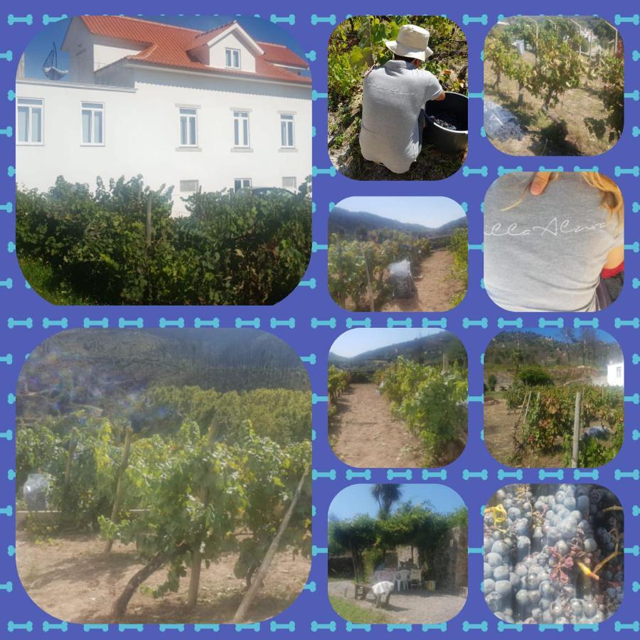 Villa Alzira Seia Exterior photo